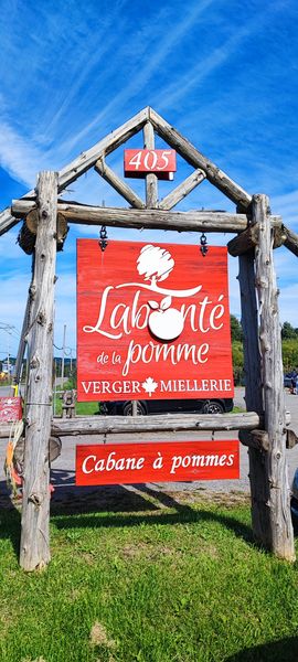 Cueillette de pommes